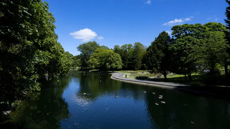 Thompson's Park is lovely on a sunny day.