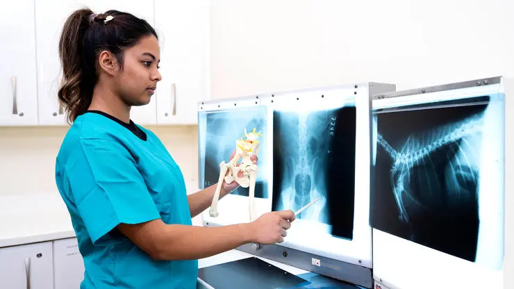 Student examining an x-ray