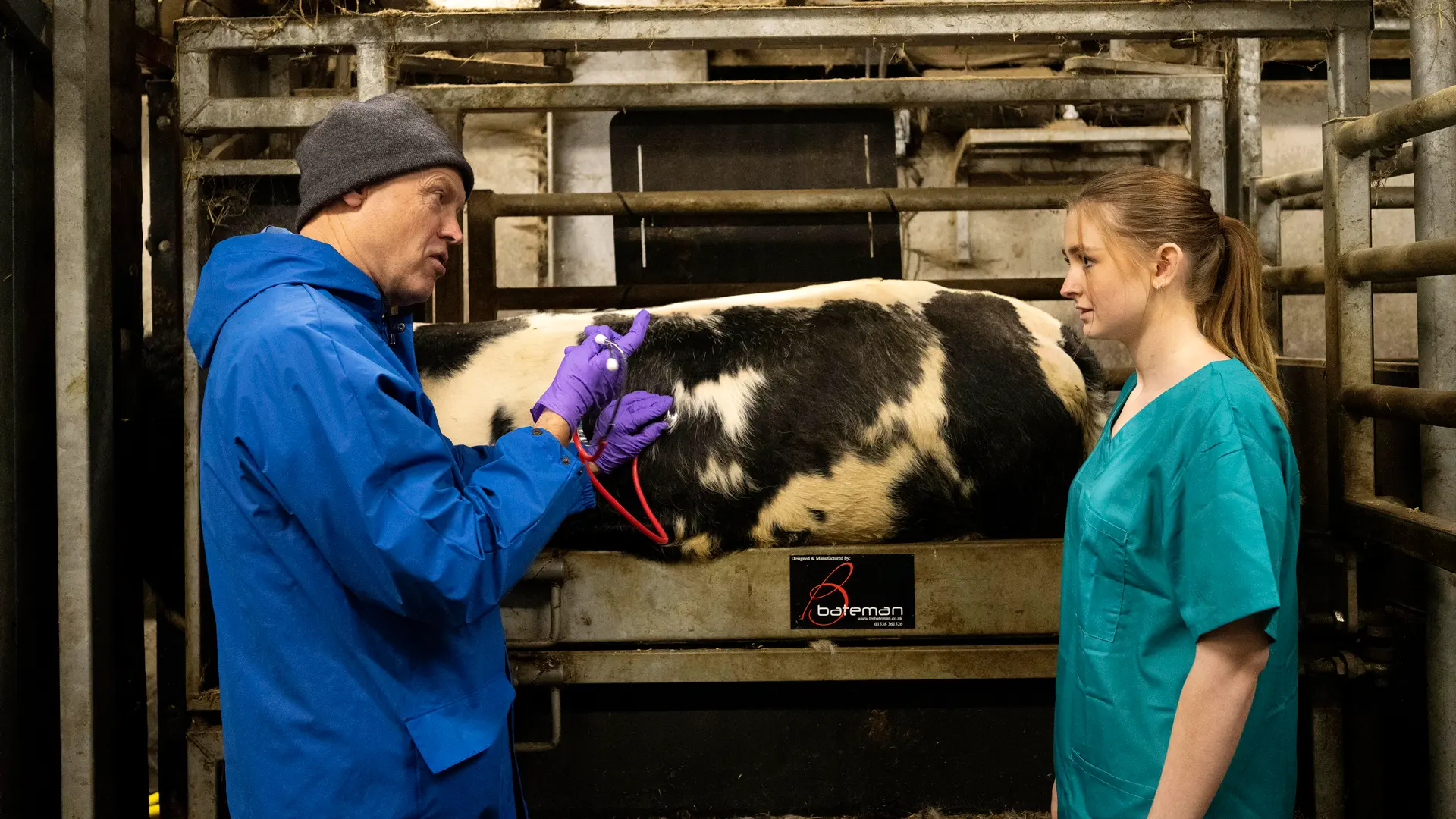 Student and teacher with a cow on a farm