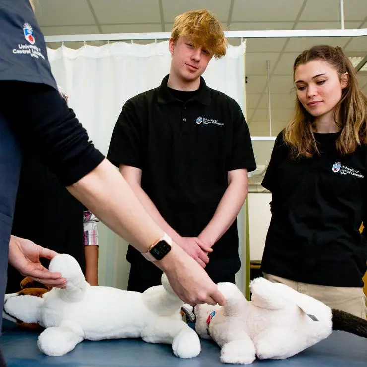 Students and tutor with stuffed animals practicing techniques