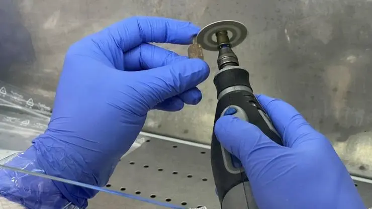 Cutting a bone fragment for the subsequent extraction of biomolecules.