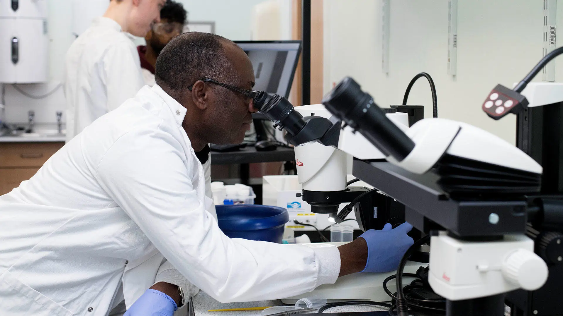 Student looking through a microscope