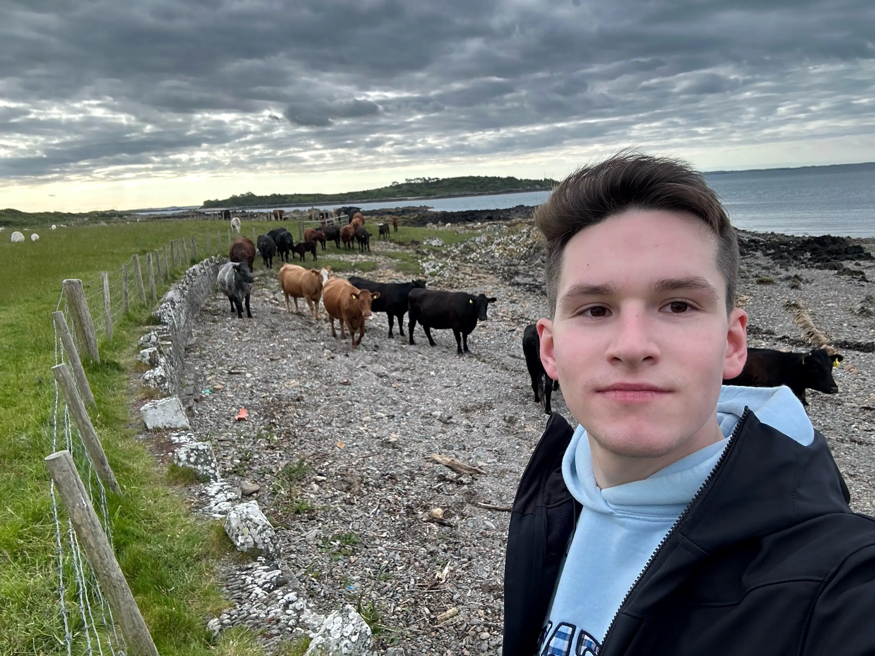 Thomas Westley with cows in the background
